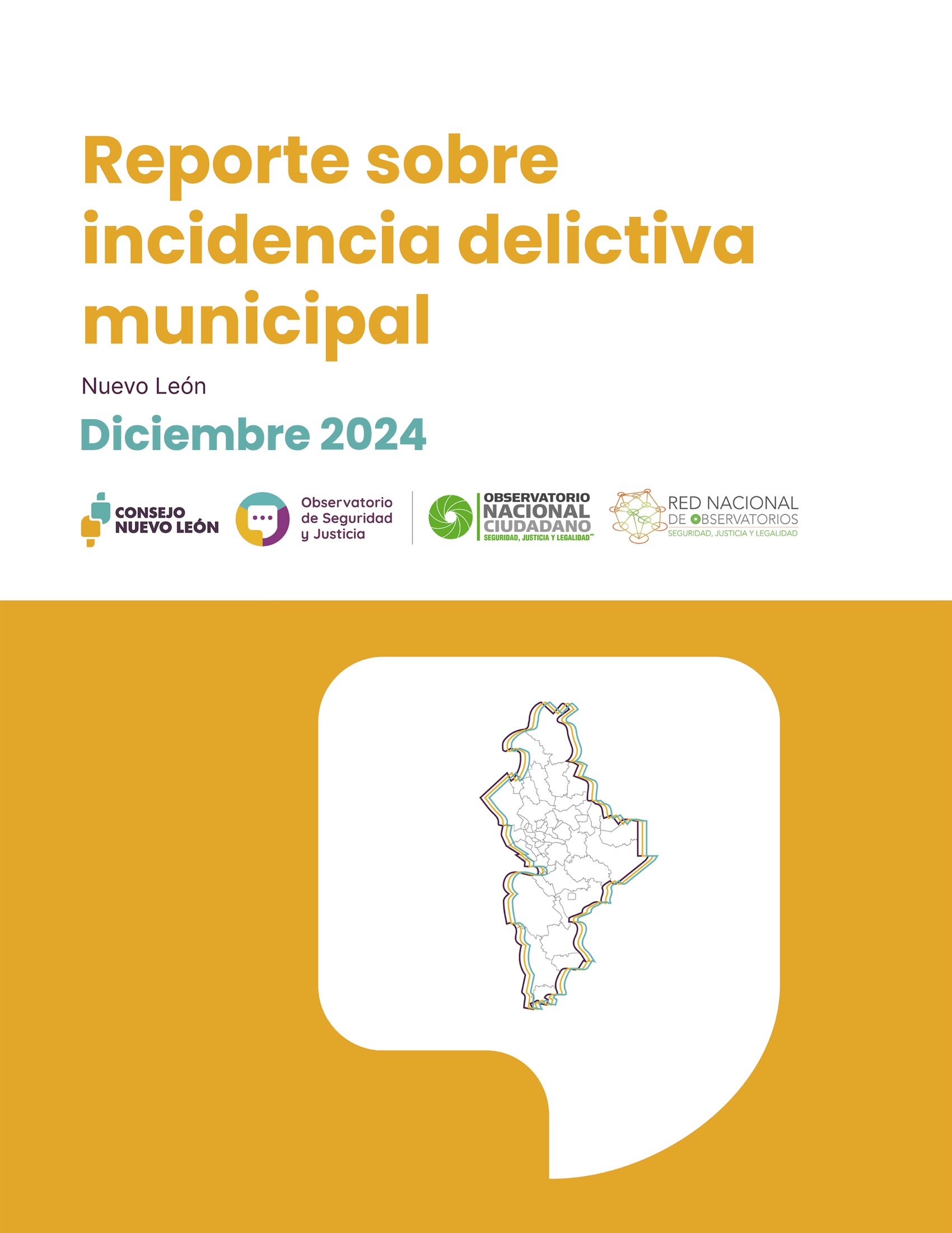 archivo Reporte de Incidencia Delictiva Municipal Diciembre 2024